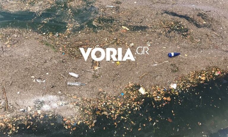 Θερμαϊκός: Γέμισε σκουπίδια και ανέλαβε η Αλκίππη (vids)