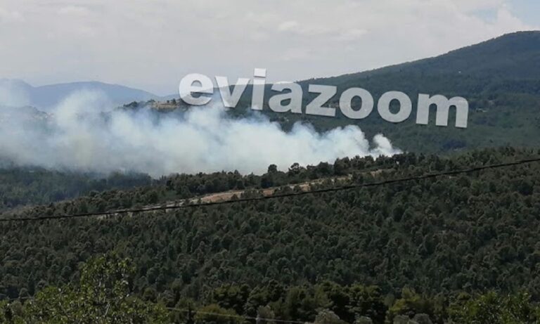 Εύβοια: Κατασβέστηκε πυρκαγιά στο πευκοδάσος στην περιοχή Κυπαρίσσι
