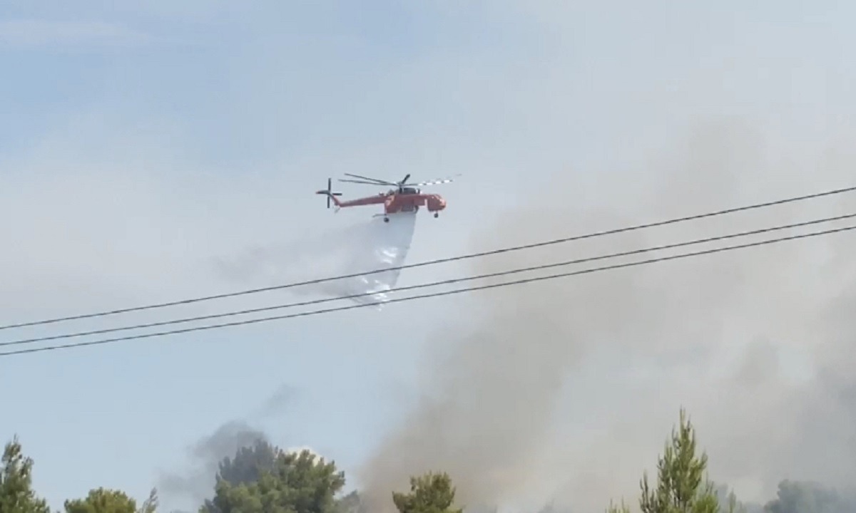 Ηλεία: Μεγάλη φωτιά σε δάσος -Θρίλερ με έναν νεκρό!