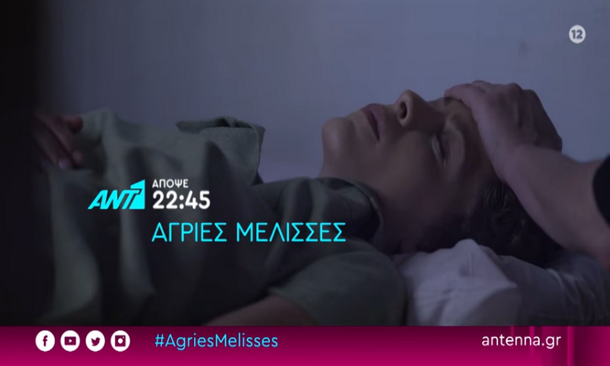 Τηλεθέαση Σάρωσαν οι «Άγριες Μέλισσες»