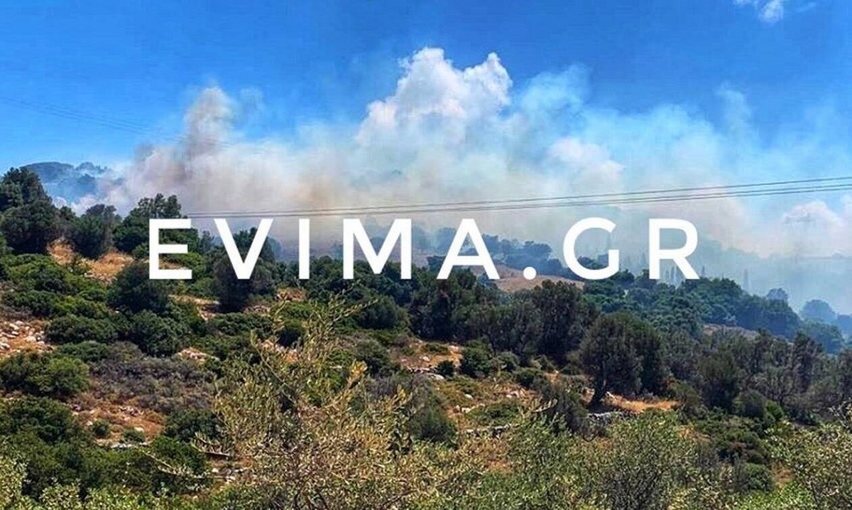 Πυρκαγιά στην Εύβοια: Εκκενώθηκε προληπτικά οικισμός