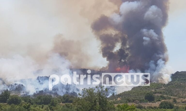 Μάχη με τις φλόγες στην Ηλεία – Προς εκκένωση χωριό