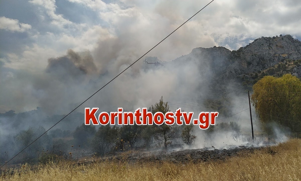 Κόρινθος: Μεγάλη η πυρκαγιά στις Κεχριές – Εκκενώθηκε κατασκήνωση