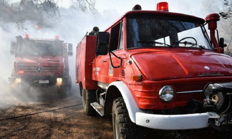 Ηλεία: Νέα φωτιά στα Ζαχαρέικα