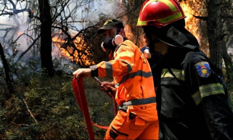 Αρχηγός Πυροσβεστικής: «Σε ύφεση η φωτιά στις Κεχριές Κορινθίας»