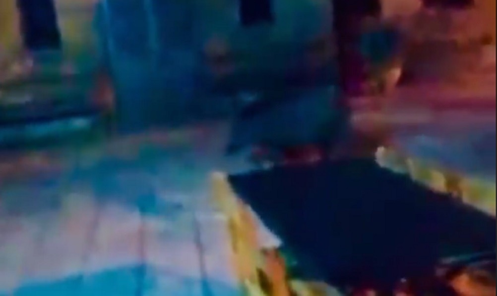 Φθιώτιδα: Αγριογούρουνο πήγε… βόλτα στην πλατεία του χωριού! (vid)