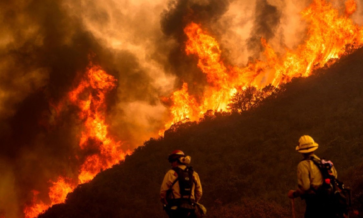 Καλιφόρνια: Χάος από τον καύσωνα και τις πυρκαγιές – Χιλιάδες σπίτια χωρίς ηλεκτρικό ρεύμα! (vid)