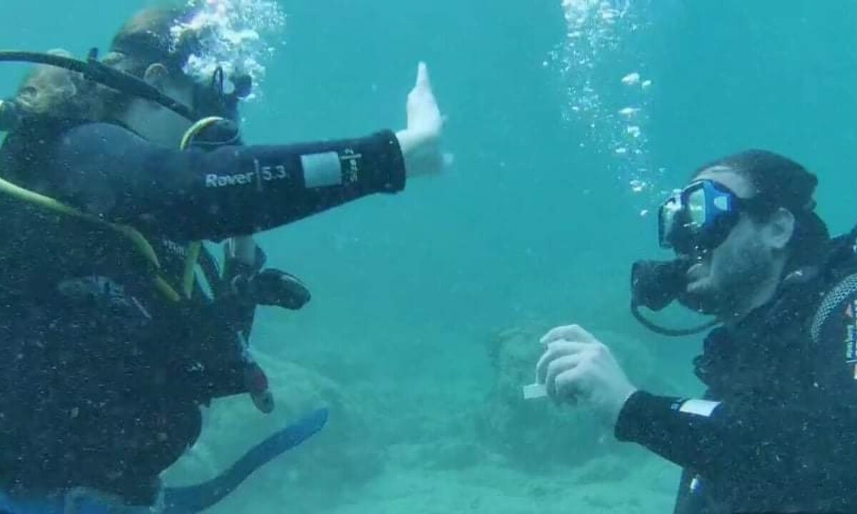 Αλόννησος: Μαγική υποβρύχια… πρόταση γάμου! (vid)