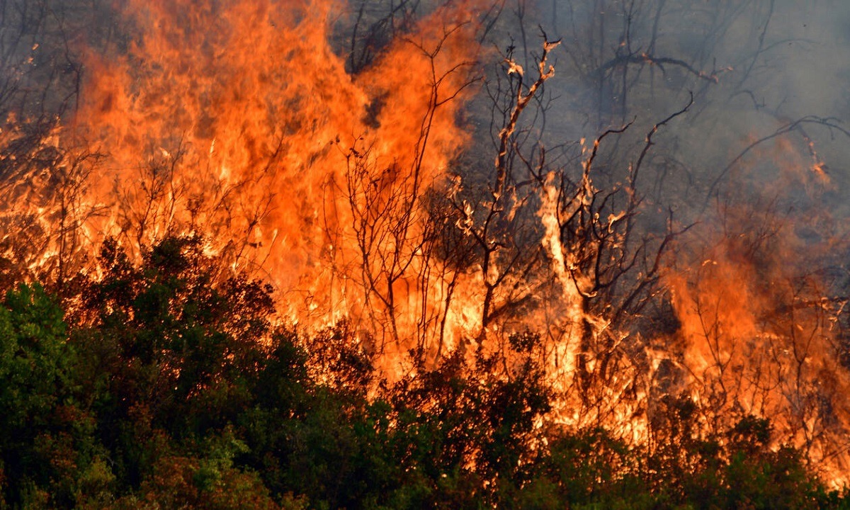 Φωτιά στην περιοχή Δερμάτι στο Καρπενήσι