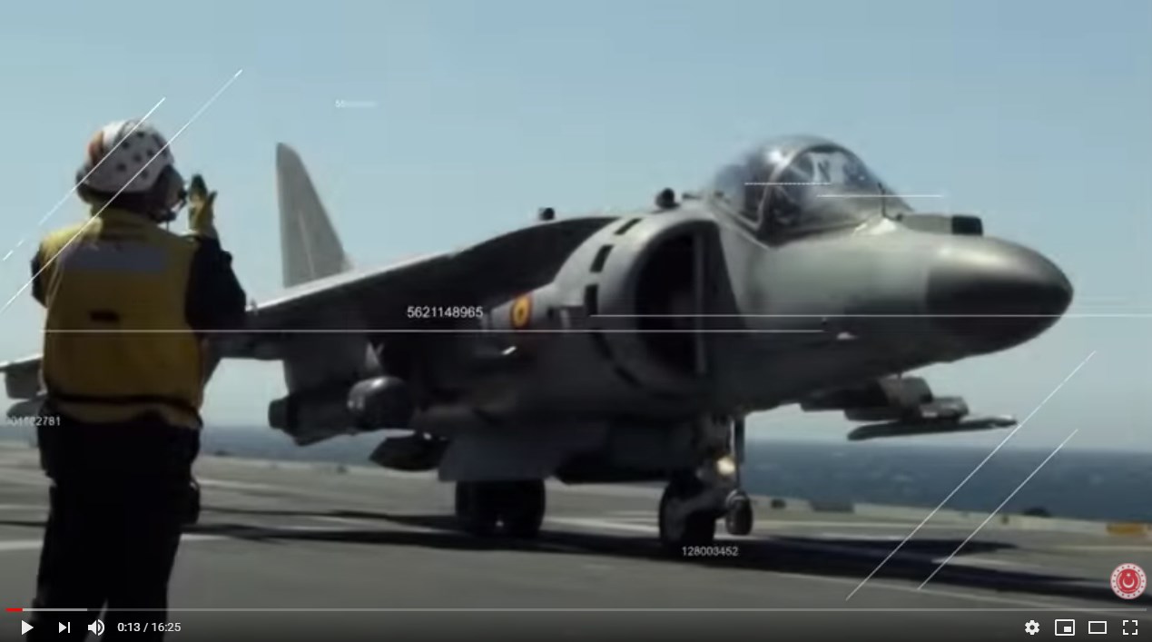 harrier | Lamianow.gr