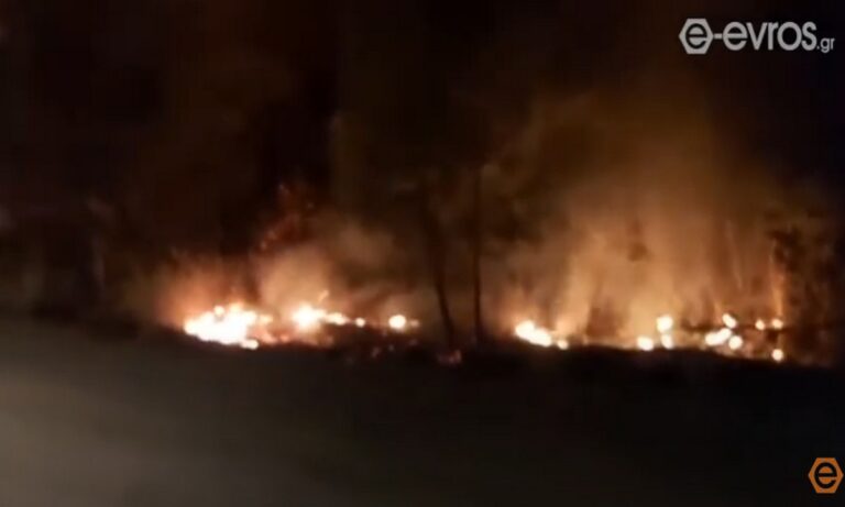 Πυρκαγιές στην Αλεξανδρούπολη: Πρέπει να οδηγηθούμε σε κάποια συμπεράσματα
