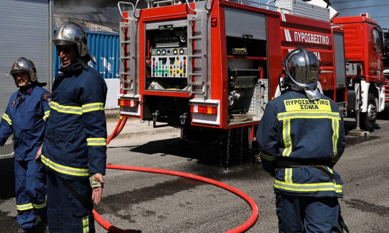 Φωτιά στη Ηλεία κοντά στην Αρχαία Ολυμπία (pic)