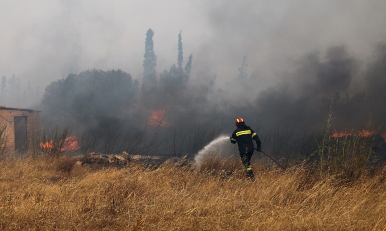 Δήμαρχος Σαρωνικού: Οι οκτώ περιοχές που ζητά να εκκενωθούν – Κάηκαν σπίτια στην Ανάβυσσο (vid)