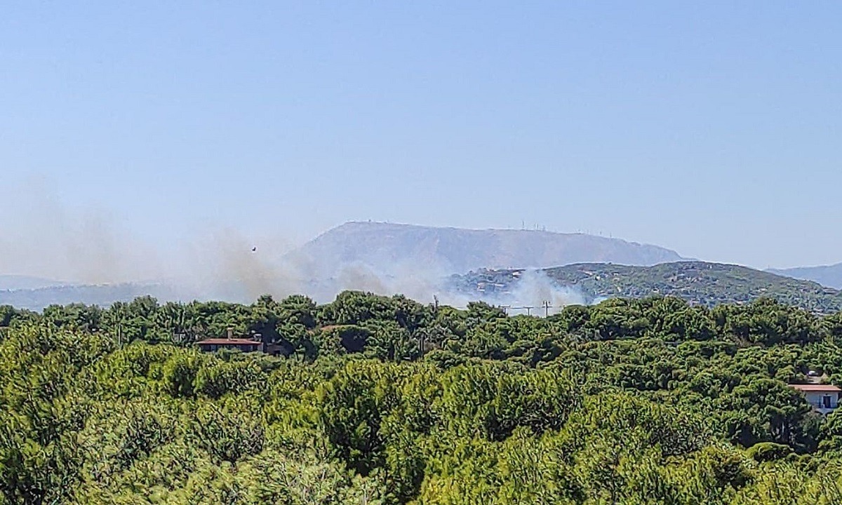 Ραφήνα: Μεγάλη φωτιά στην Αρίωνος προς Αρτέμιδα (pic)