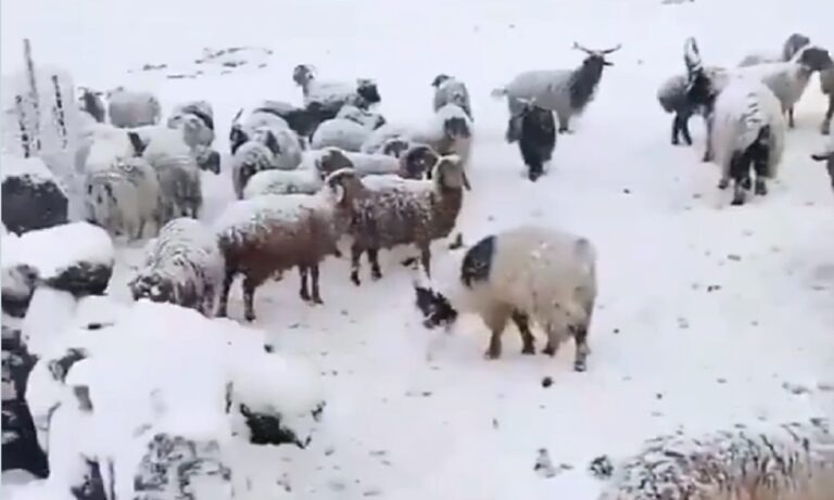 Nαγκόρνο Καραμπάχ: Ξεκίνησε να χιονίζει – Έρχεται ο βαρύς χειμώνας