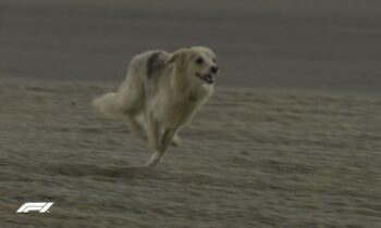 Formula 1: Formula 1: Ένας σκύλος διέκοψε τις δοκιμές! (vid)