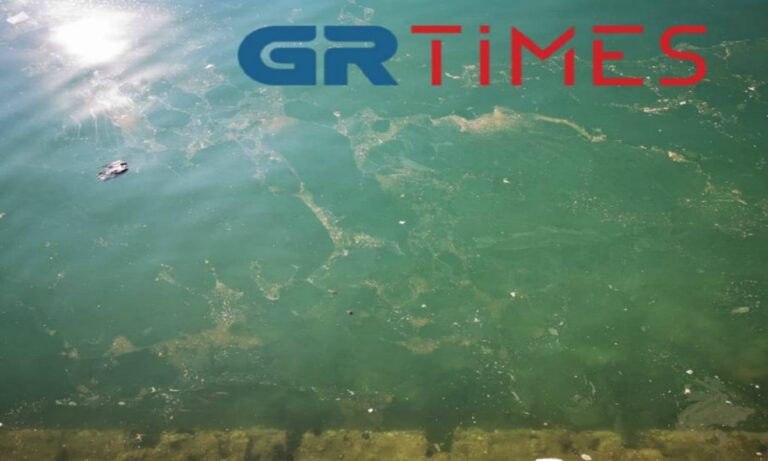 Θεσσαλονίκη: Γέμισε ο Θερμαϊκός με νεκρά πουλιά (vid)