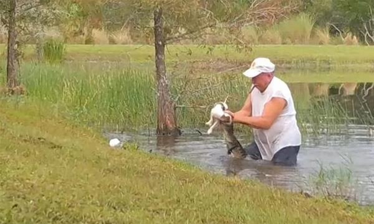 VIRAL: Άνδρας παλεύει με αλιγάτορα για να σώσει το σκυλάκι του (vid)