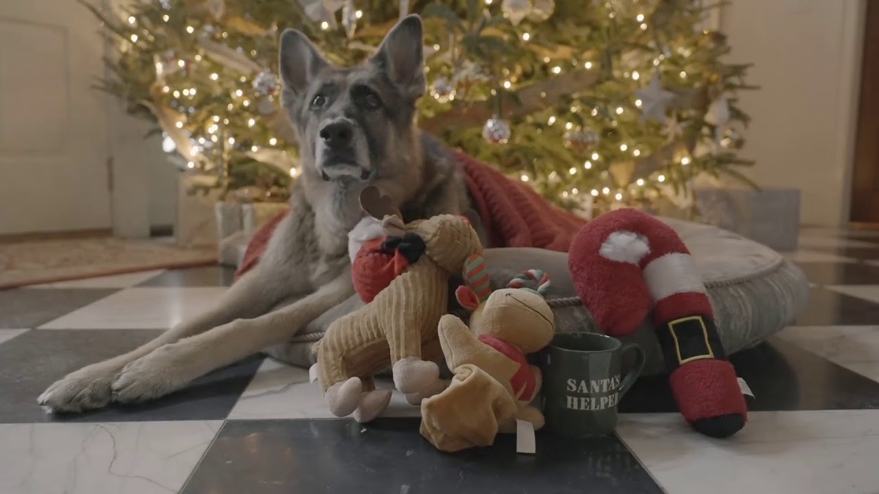 Viral: Τα σκυλιά του Μπάιντεν έκλεψαν την παράσταση με τις ευχές τους
