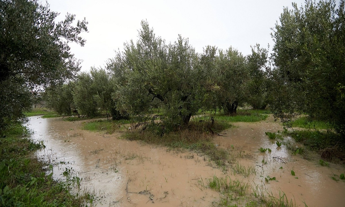 Σέρρες – Χαλκιδική: «Βούλιαξαν» λόγω ισχυρής βροχόπτωσης – Ποιοι δρόμοι είναι κλειστοί
