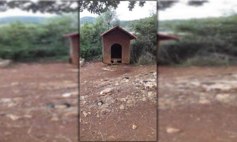 Έκλεψαν σκυλόσπιτο στο Κορακοβούνι Κυνουρίας. Τι άλλο θα κλέψουν;