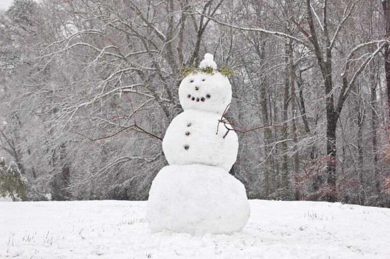 Το έστρωσε : Πως να φτιάξεις τον τέλειο χιονάνθρωπο
