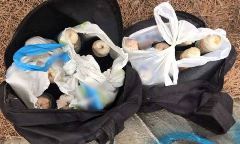 Πάτρα: Βρέθηκαν 17 μολότοφ κρυμμένες σε δάσος – Τι ερευνά η Αστυνομία (pics)