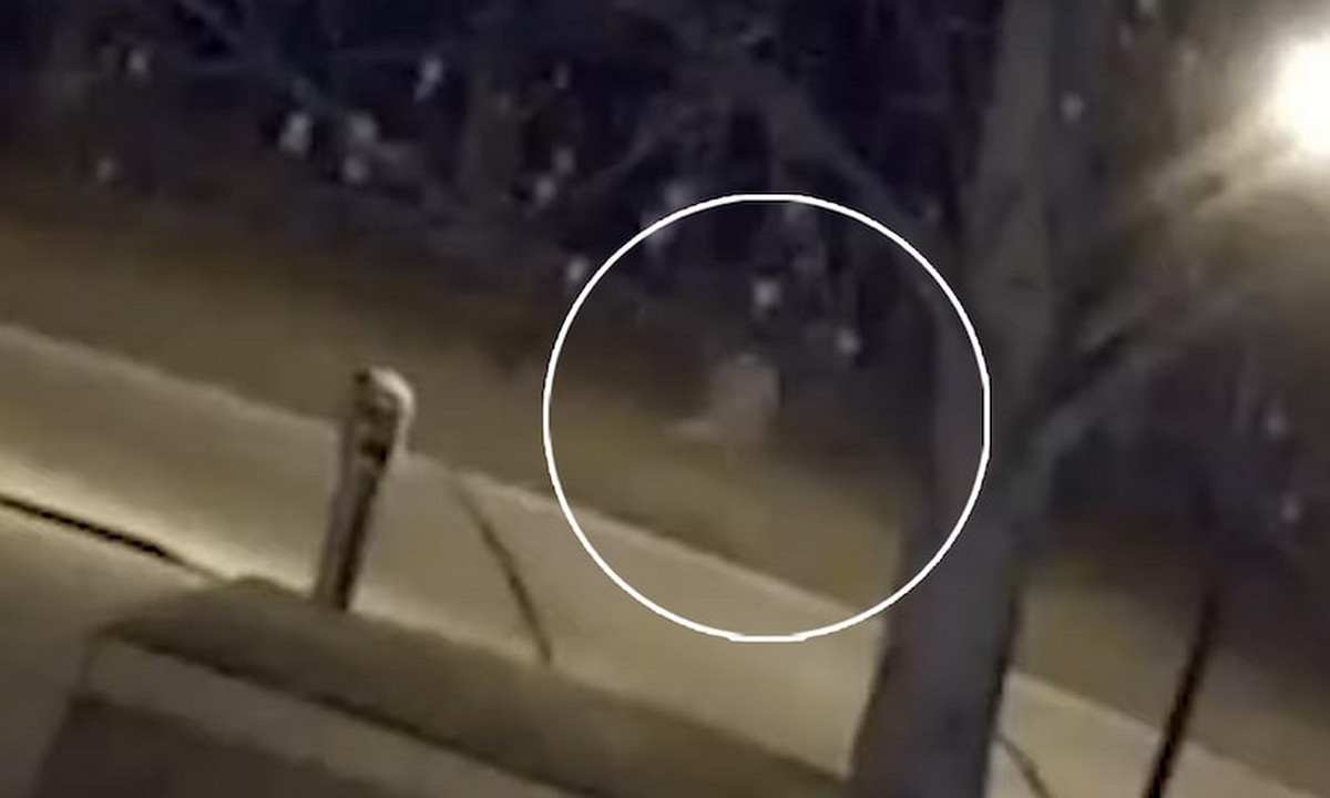 Αξιοπερίεργα – ΗΠΑ: Kάμερα κατέγραψε φάντασμα να τρέχει στο Οχάιο (vid)
