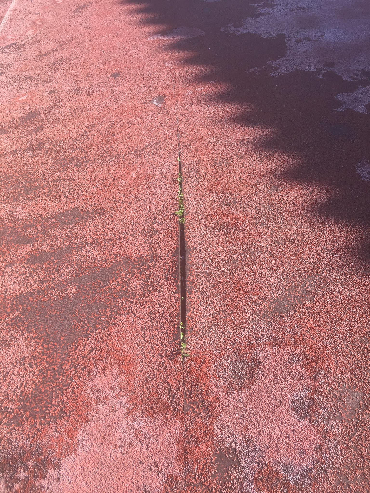 Στίβος: Σε κακά χάλια τα στάδια Μυτιλήνης και Καλλονής (φωτογραφίες) - Επιστολή Θ. Βαλσαμίδη στον Περιφερειάρχη