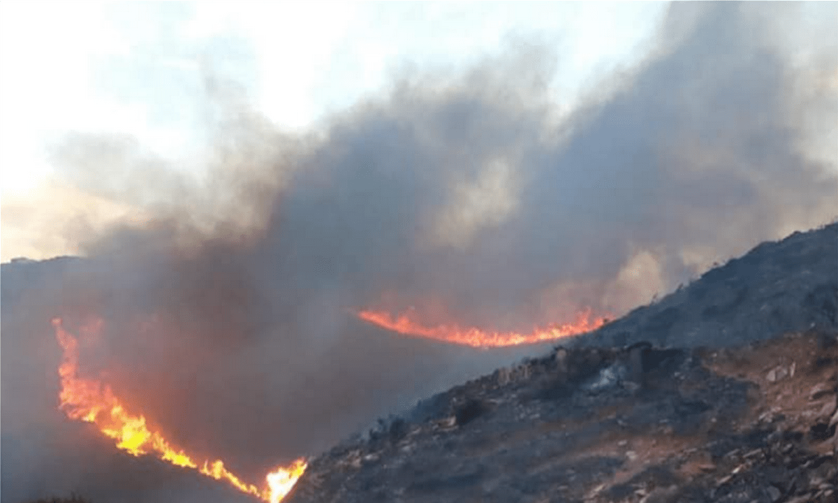 Φωτιά στην Άνδρο: Προληπτικά εκκενώθηκαν περιοχές!