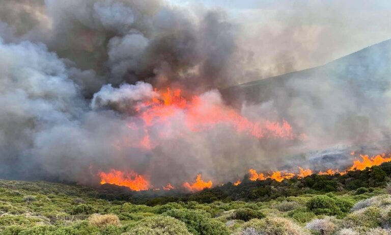 Φωτιά στην Άνδρο: Σε ύφεση το πύρινο μέτωπο  – Επιχειρούν ξανά εναέρια μέσα (vid)