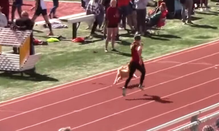 Σκύλος «εισέβαλε» σε αγώνα δρόμου και τερμάτισε πρώτος! – Άγγιξε το ρεκόρ του Μπολτ! (vid)