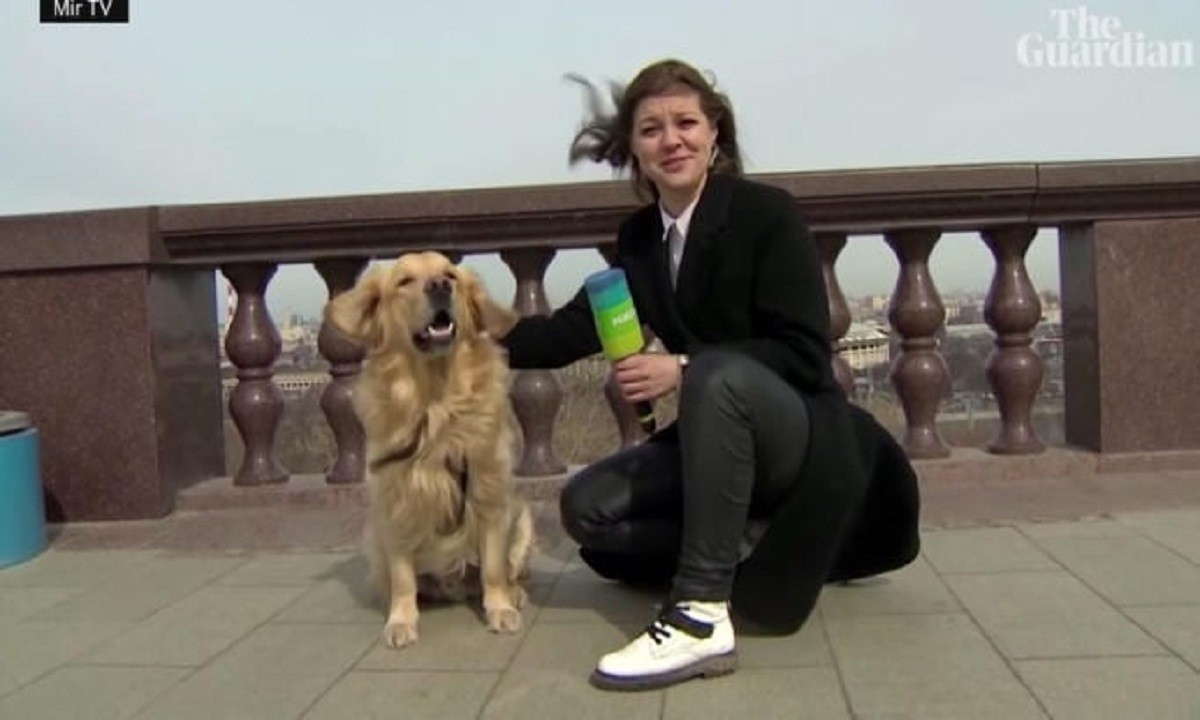 VIRAL – Ρωσία: Σκύλος κλέβει το μικρόφωνο ρεπόρτερ σε live μετάδοση