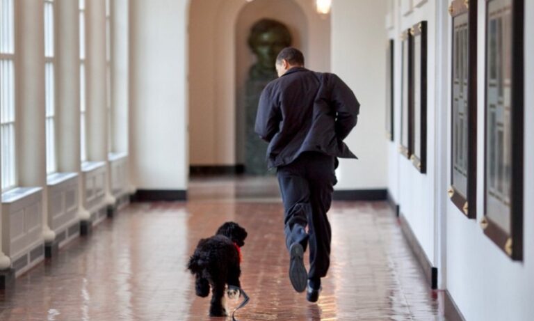 Viral: «Έφυγε» ο σκύλος του Μπαράκ Ομπάμα, ο Μπο