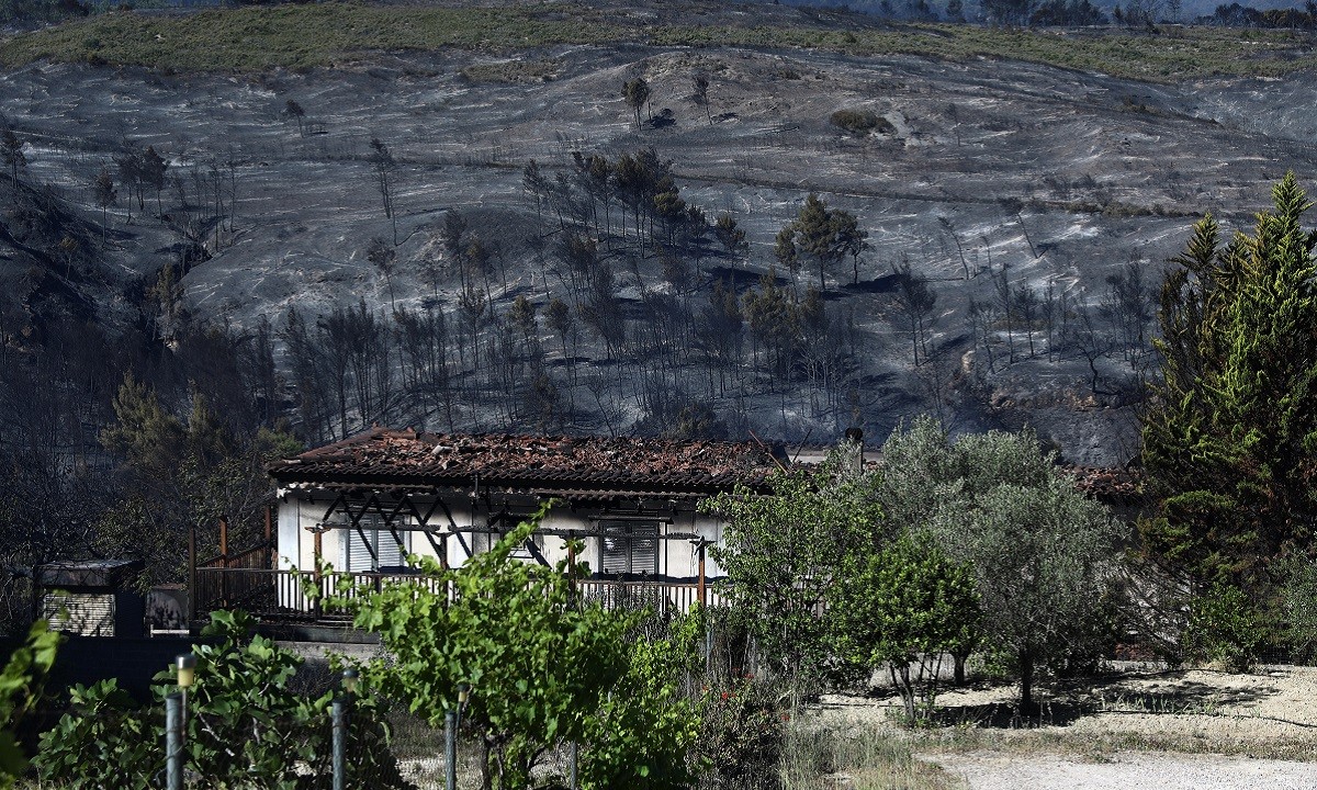 Φωτιά Κορινθία – Χαρδαλιάς: «Κάηκαν πάνω από 40.000 στρέμματα δάσους – Καταστροφές σε σπίτια»