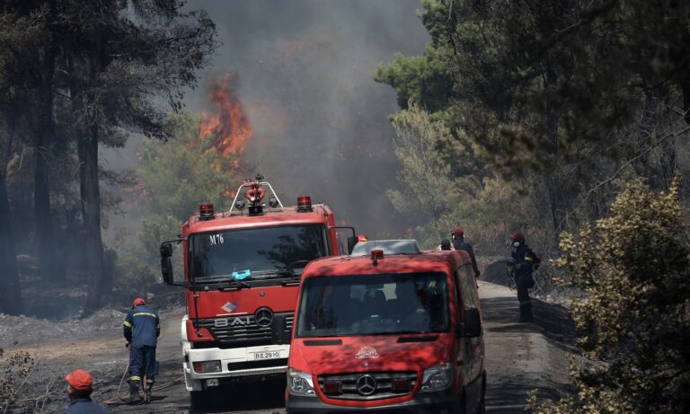 Φωτιά Σχίνος: Το απόγευμα οι κάτοικοι του Αλεποχωρίου έλαβαν εντολή να εγκαταλείψουν τις εστίες τους, αφού η πυρκαγιά έχει επεκταθεί.