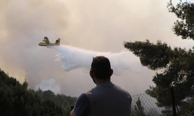 Φωτιά Κορινθία: Συγκλονίζουν οι πυρόπληκτοι: «Καταστροφή, απόλυτη καταστροφή»