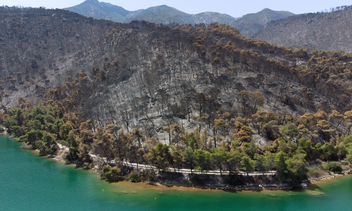 Γεράνεια όρη: Εικόνες από την απίστευτη οικολογική καταστροφή – Το σημείο από όπου άρχισε η φωτιά