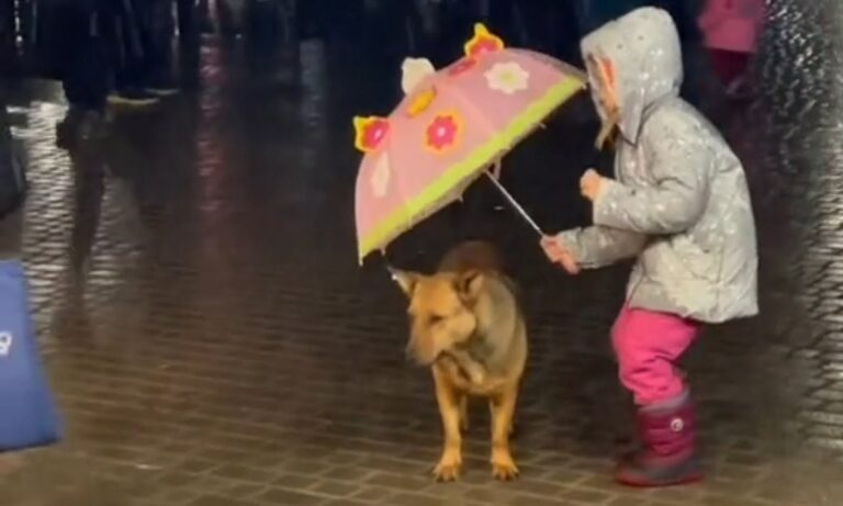 Viral: Κοριτσάκι προστατεύει από τη βροχή σκύλο με την ομπρέλα του (vid)