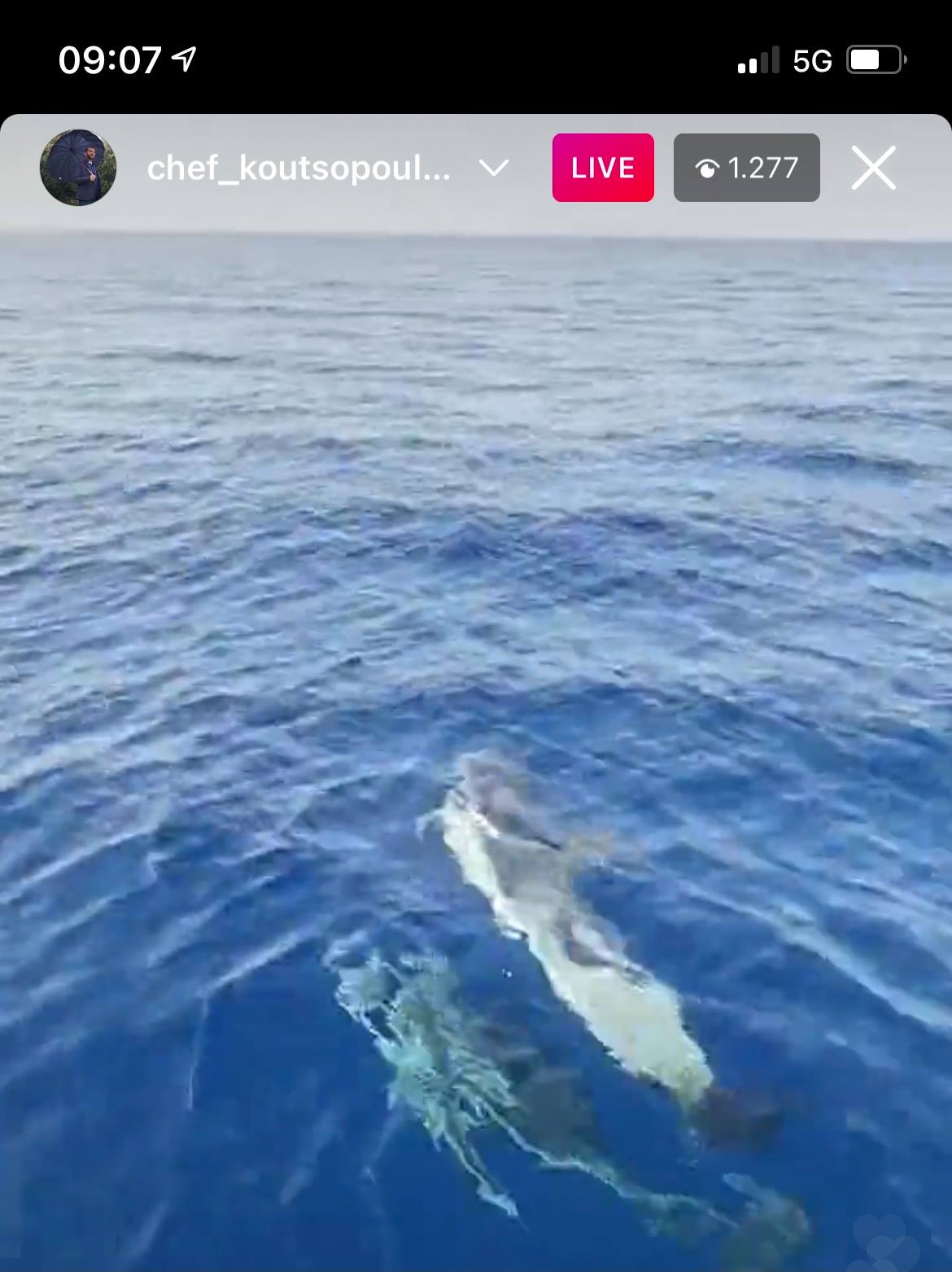 Μετά από μια τηλεοπτική σεζόν γεμάτη έντονες στιγμές λόγω του MasteChef, ο Λεωνίδας Κουτσόπουλος απολαμβάνει τις διακοπές του.