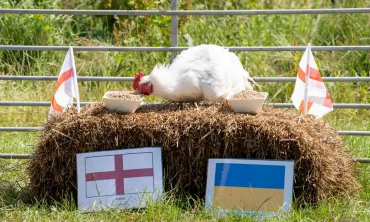 Euro 2020: Το κοτόπουλο… έστειλε τους Άγγλους στον τελικό