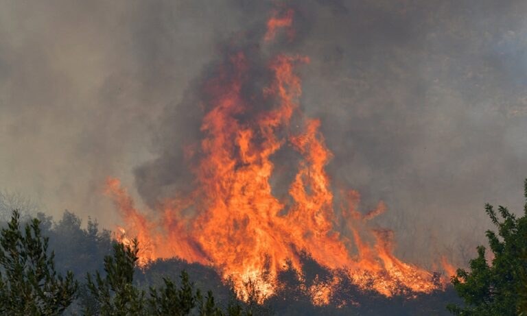Πυροσβεστική: 49 πυρκαγιές σε ένα 24ωρο, συνεχίζεται η «μάχη» στην Αργολίδα