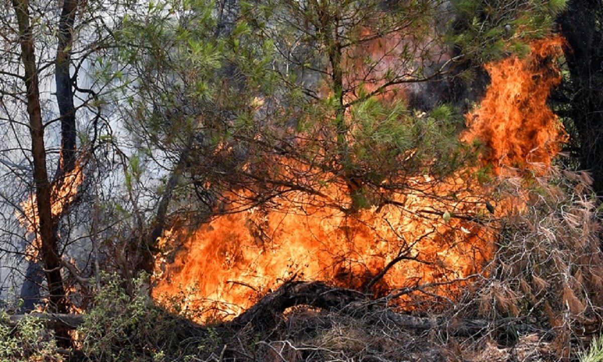 Φωτιά: Πολύ υψηλός κίνδυνος την Πέμπτη (29/7) γι’ αυτές τις περιοχές