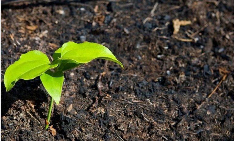 Ατζούν Ιλιτζαλί για τις πυρκαγιές στην Τουρκία: «Θα ξεπεράσουμε μαζί αυτές τις δύσκολες μέρες»