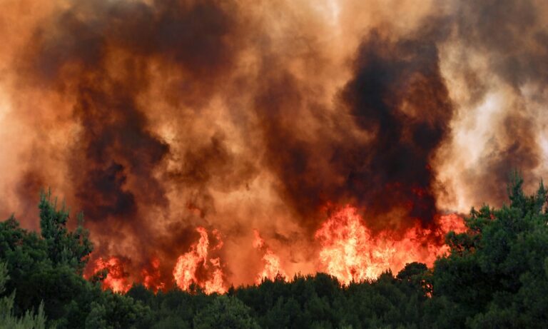 Φωτιές: Έτσι ακούγεται ένα δάσος όταν καίγεται