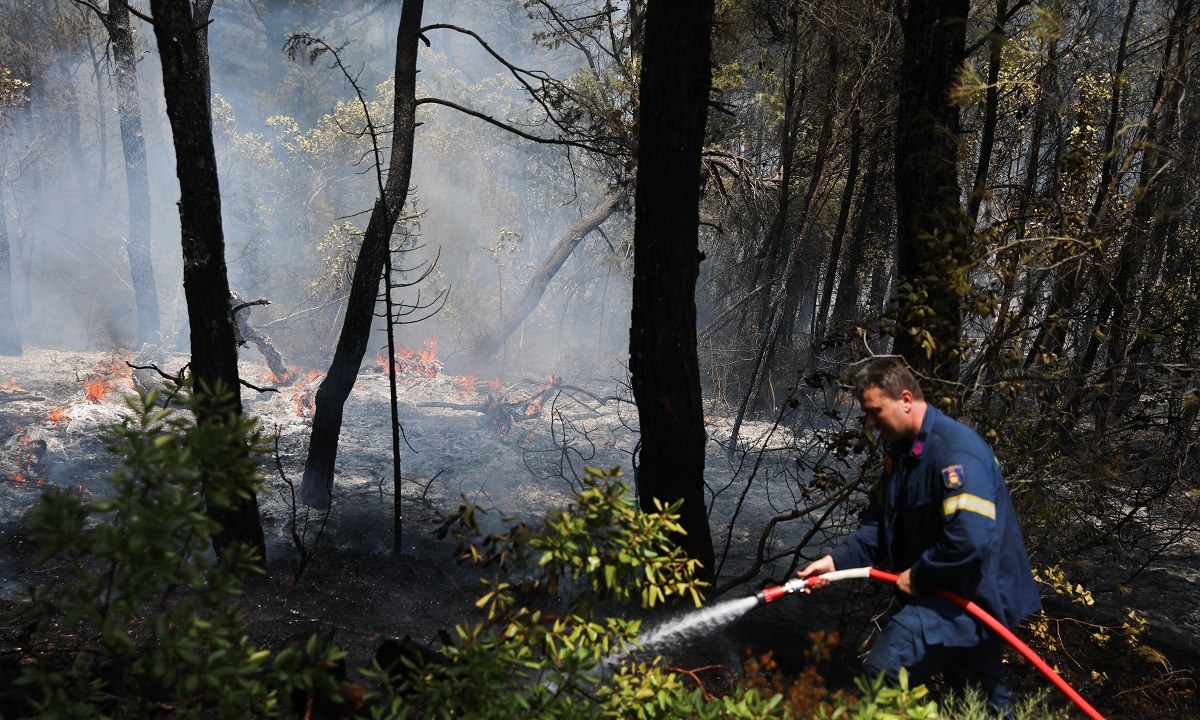 Φωτιές: 19 προσαγωγές και έξι συλλήψεις για εμπρησμό