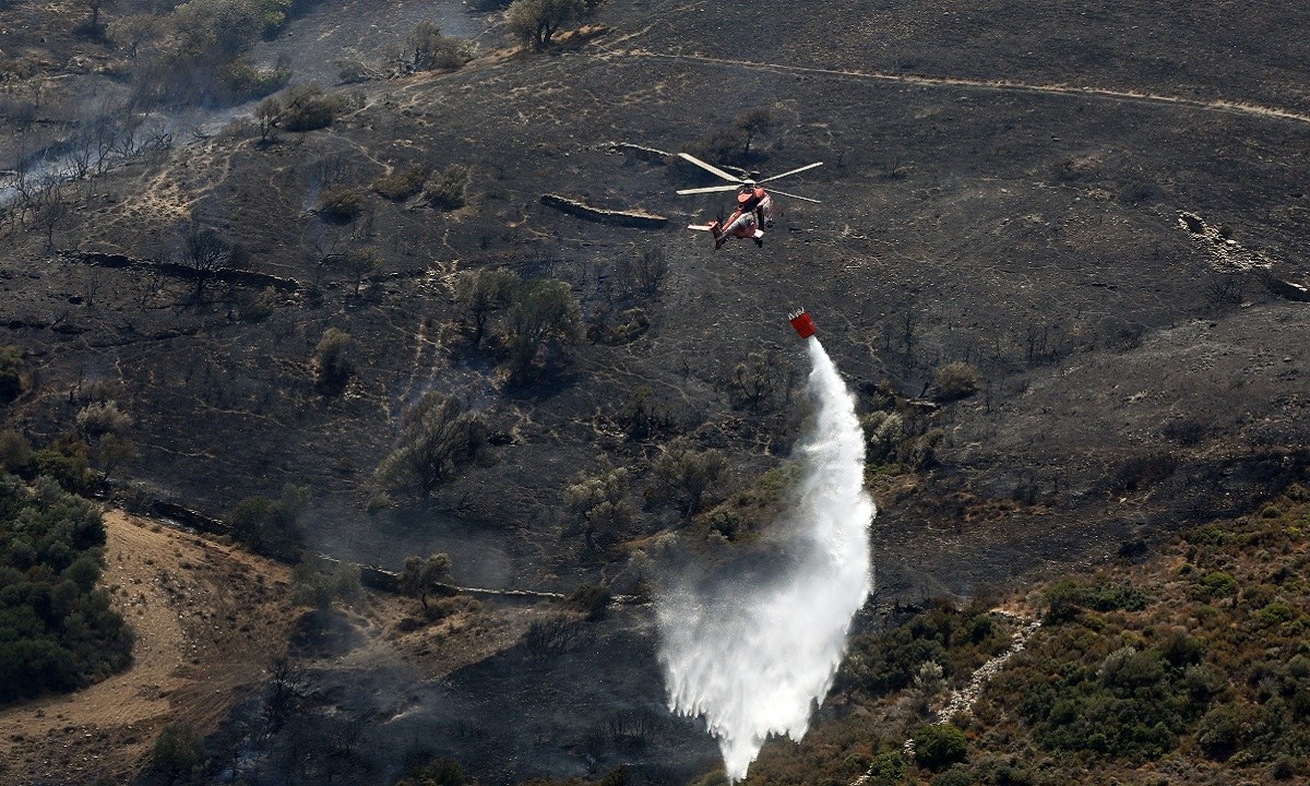 Φωτιές: 30 χρόνια θα χρειαστεί να ανακάμψει η ελληνική μελισσοκομία