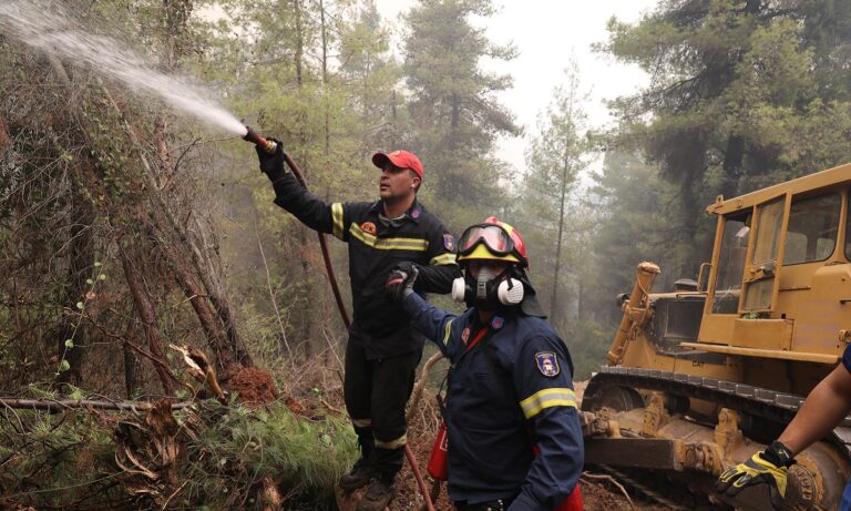 Μόνο οι ξένοι πυροσβέστες βοηθούν – Ξεσπούν οι κάτοικοι απο το Ασμήνιo