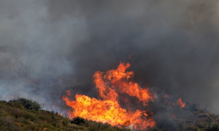 Φωτιά Ηλεία: Πυρκαγιά στην περιοχή Κορυφή – Μήνυμα από το 112