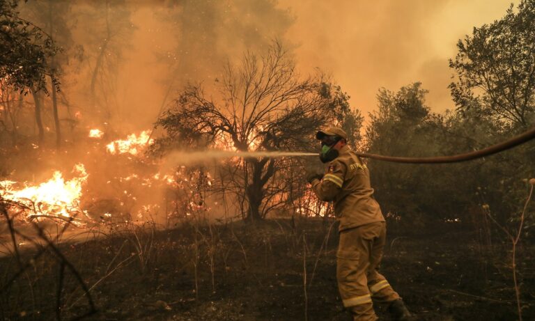 Φωτιά Ηλεία: Εμπρηστής με κόκκινο φορτηγάκι έβαλε φωτιά – Τον ψάχνουν οι κάτοικοι